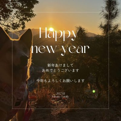 🎍✨新年あけましておめでとうございます✨🎍