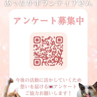 【📮 みんなの想いがつながって、未来を変えるかもしれない✨ アンケート🐶😻】